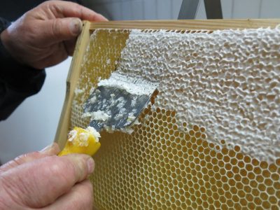 honey-957277_1920